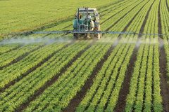 کاهش هزینه‌های تولید محصولات کشاورزی با یکپارچه‌سازی اراضی