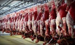 افزایش ۴۱۱ درصدی واردات گوشت قرمز
