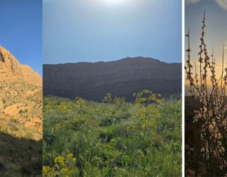  امان نامه ای برای دو زیبای کاملا طبیعی فارس