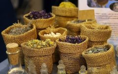 ایجاد سلامتکده طب سنتی نمایشگاه گیاهان دارویی