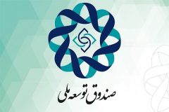 دولت ٩۶.۵ میلیارد دلاری به صندوق توسعه ملی بدهی دارد