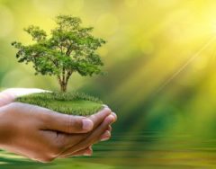 زندگی را در  چرخه‌ی سبز شیراز جور دیگری می بینید