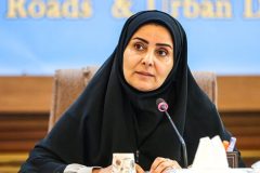 چرا برای حمایت از خانم وزیر، نهاد امنیتی پای کار نیامد؟